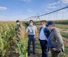 Как фермеры в Казахстане могут зарабатывать деньги и при этом экономить воду?