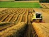 Увеличение субсидий на 50% в сферу комплекса агропромышленности